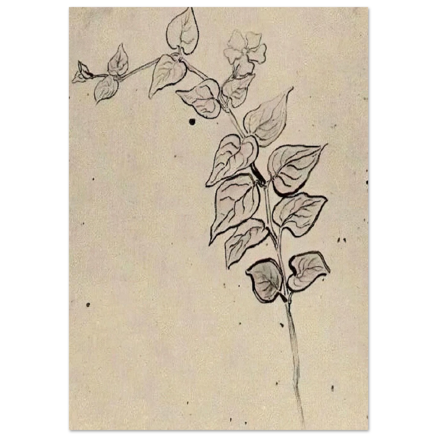 15696d22-dbb8-479e-99ca-2a5248274054
