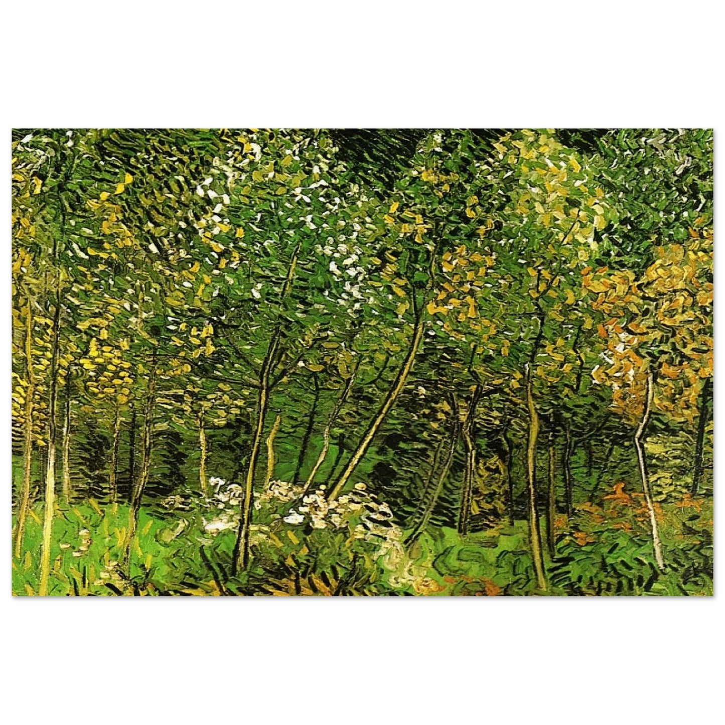 fa14de61-e449-450c-b6e2-39fe15011908